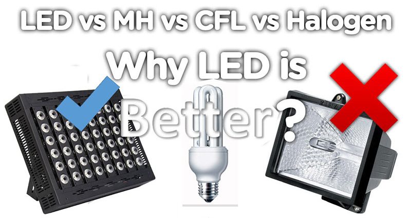 LED VS HID