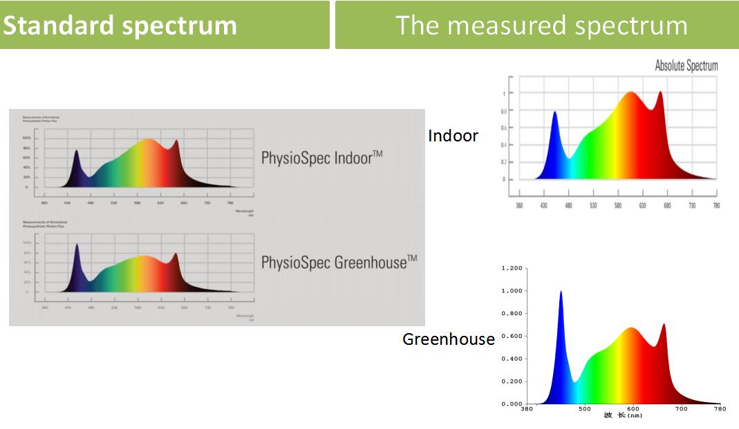 LED Grow Light