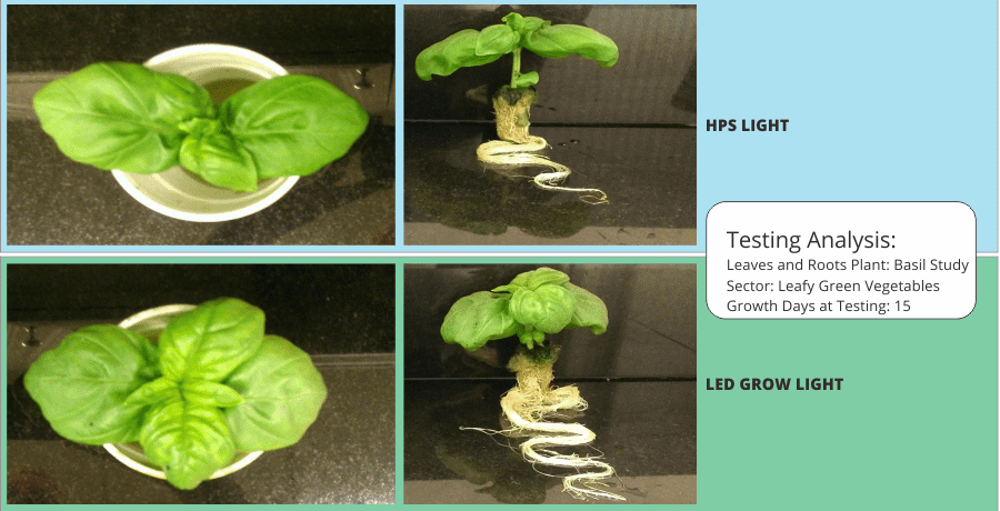 LED Grow Light